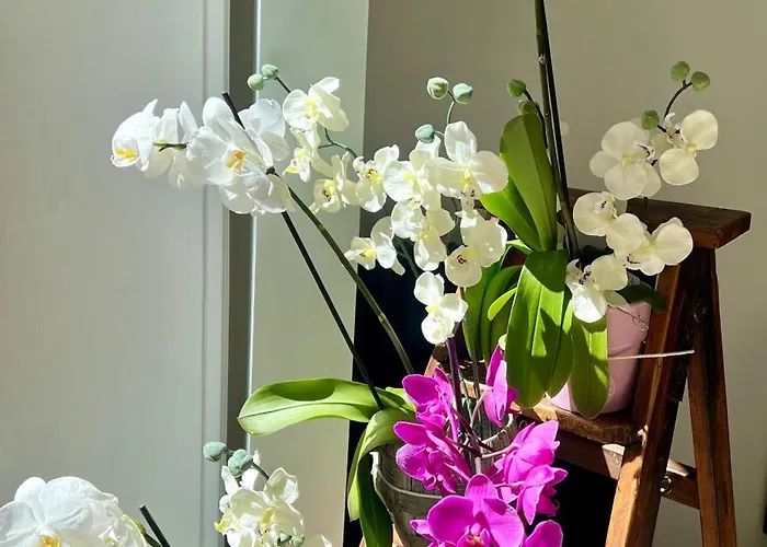 Le Grand 3* Forcalquier