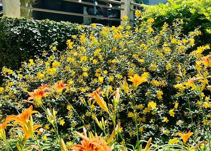 Le Grand Forcalquier