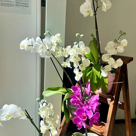 Le Grand 3* Forcalquier